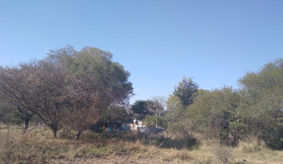4 Bedroom Property for Sale in Groblersdal Limpopo