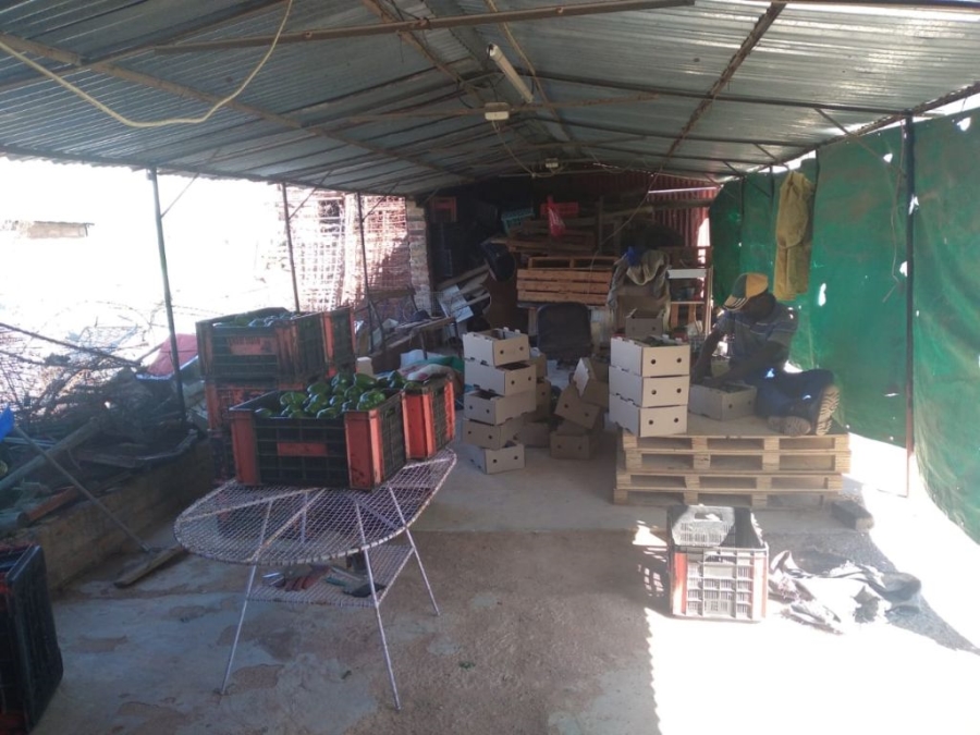 4 Bedroom Property for Sale in Groblersdal Limpopo