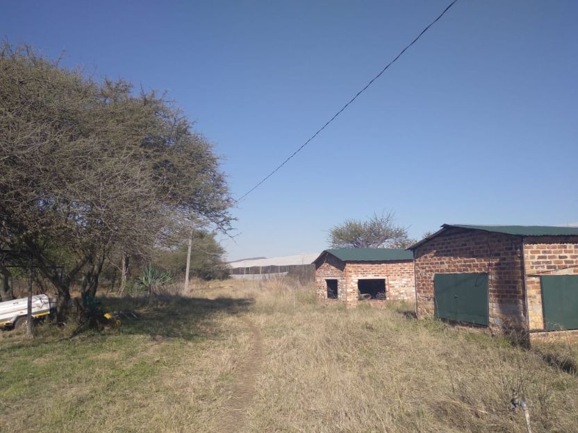 4 Bedroom Property for Sale in Groblersdal Limpopo