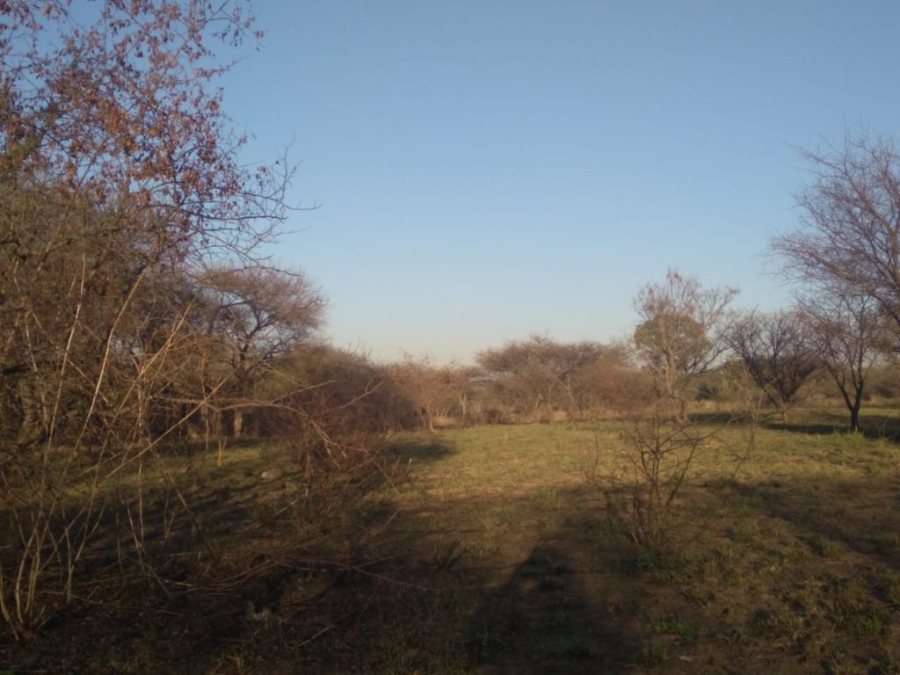 4 Bedroom Property for Sale in Groblersdal Limpopo