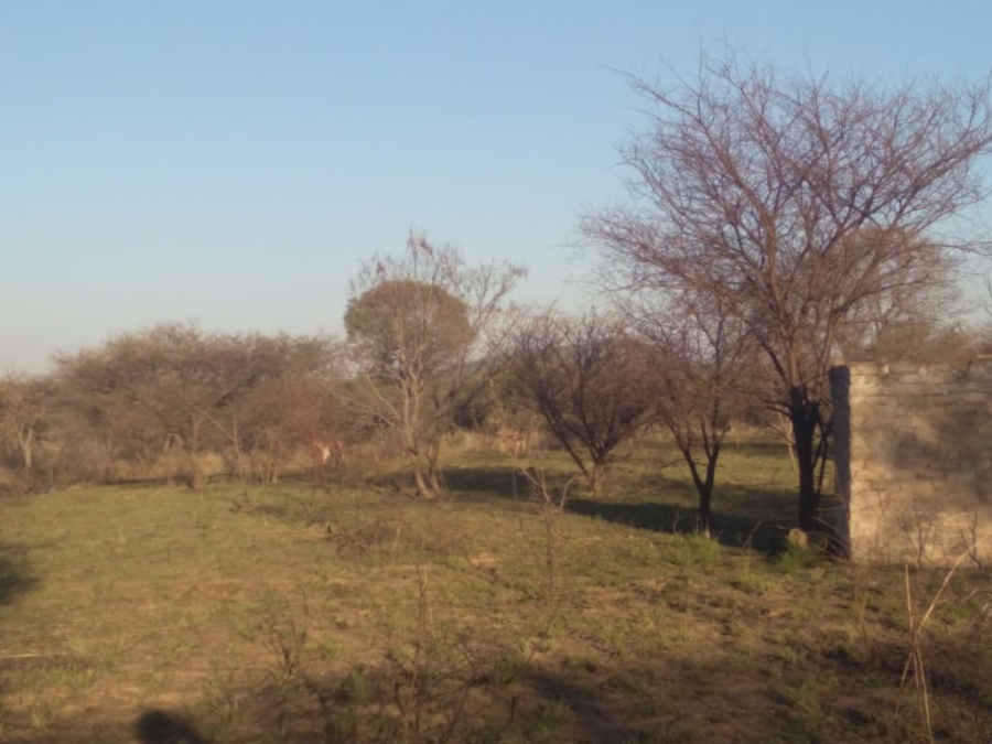 4 Bedroom Property for Sale in Groblersdal Limpopo