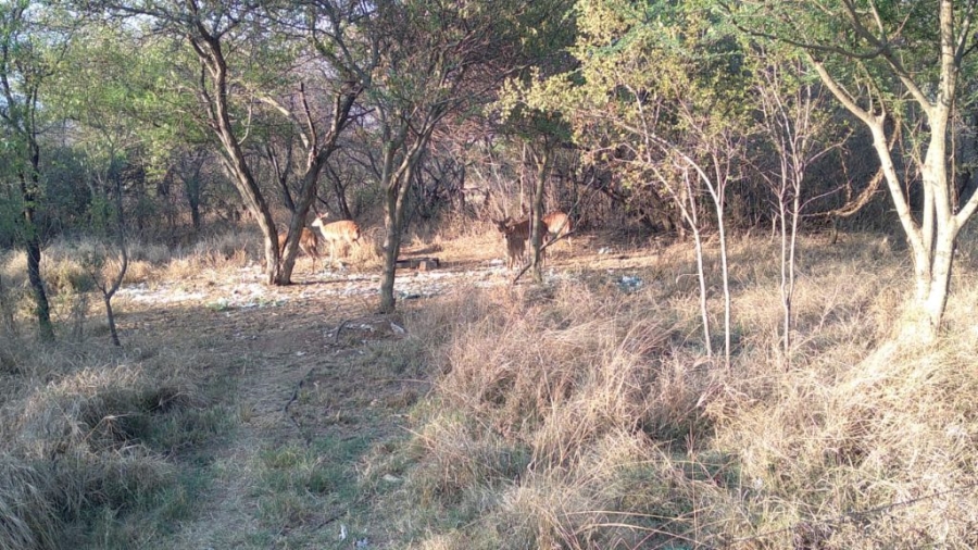 4 Bedroom Property for Sale in Groblersdal Limpopo