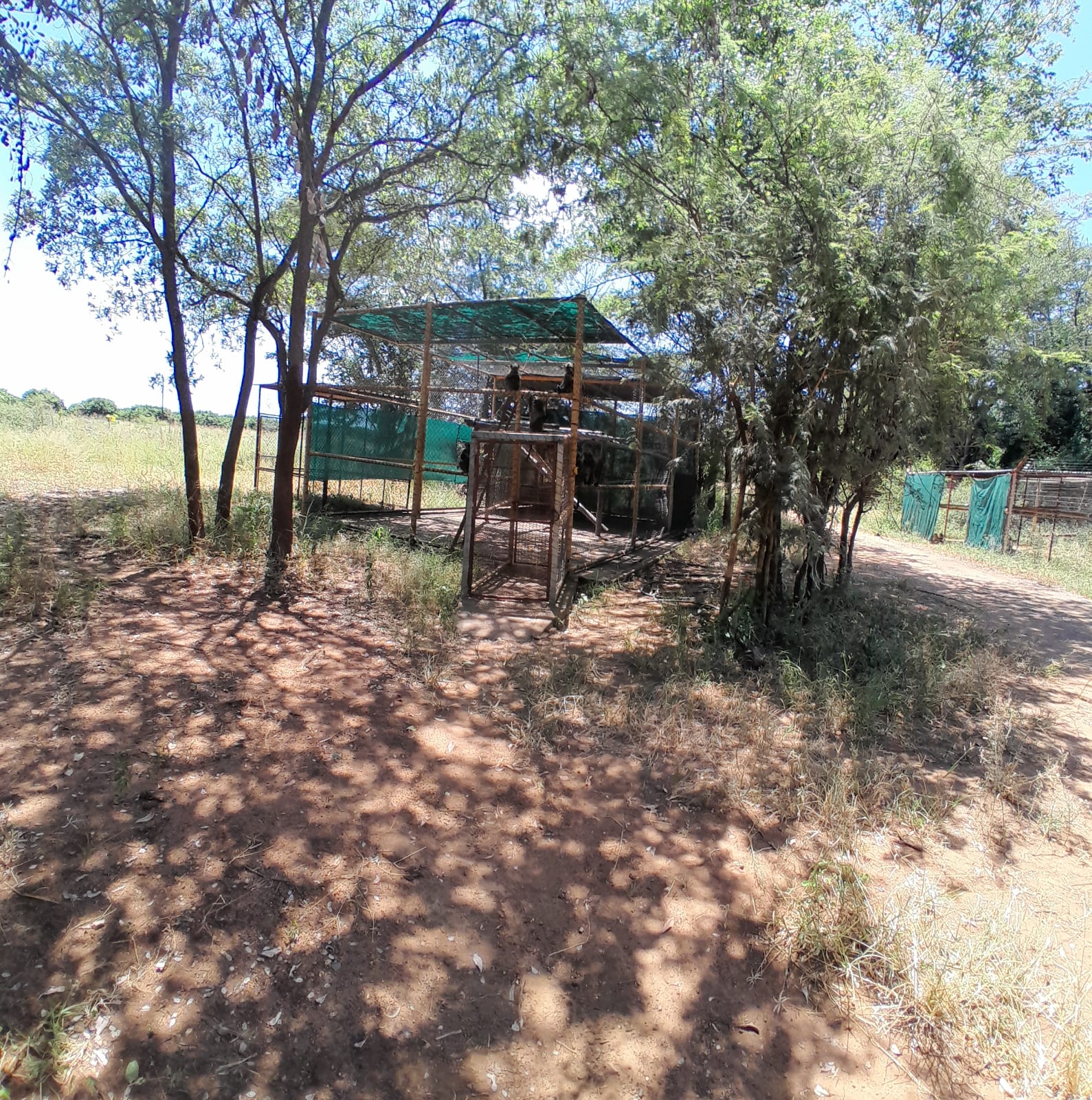 3 Bedroom Property for Sale in Tzaneen Rural Limpopo