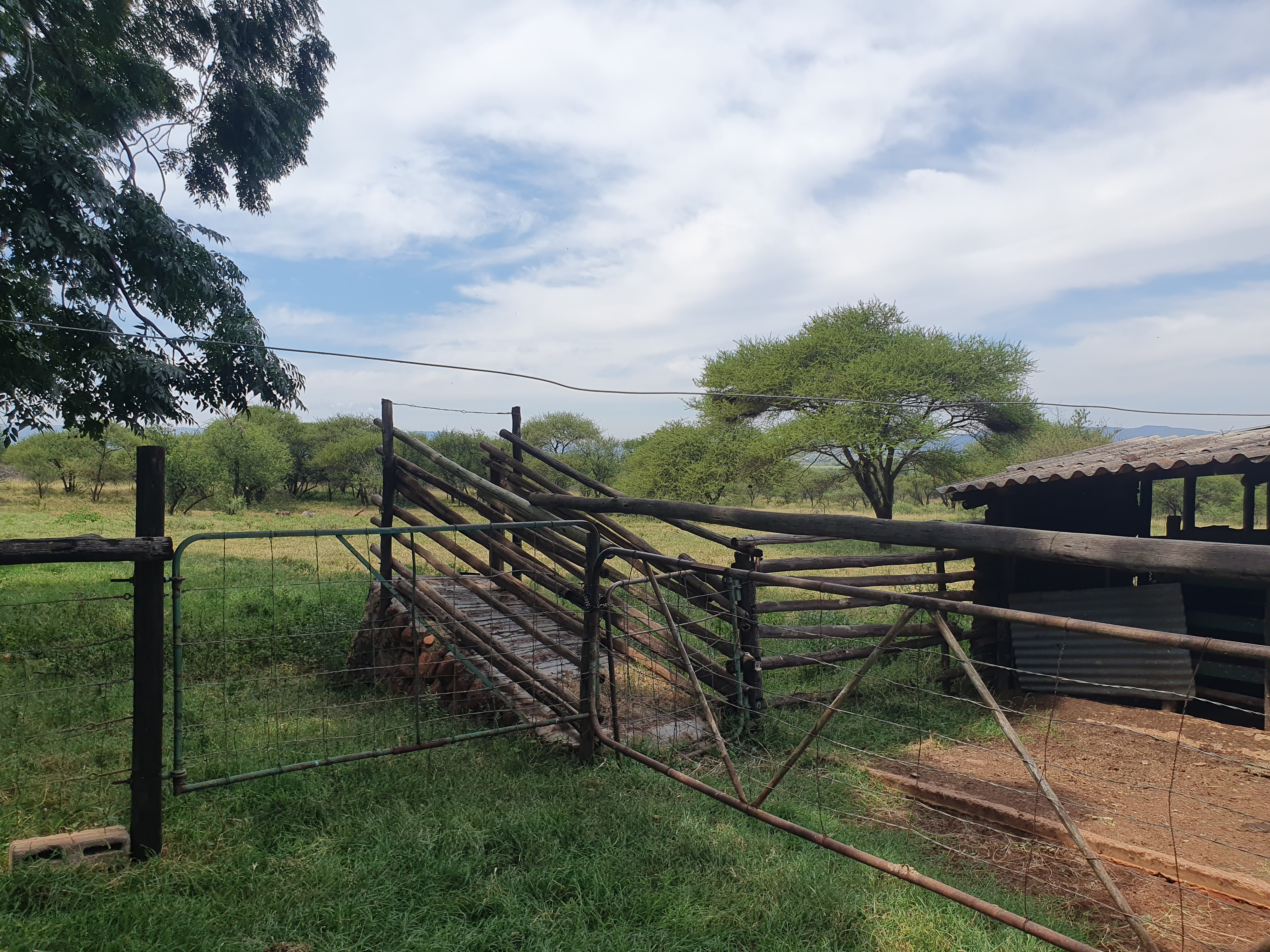 4 Bedroom Property for Sale in Marble Hall Limpopo