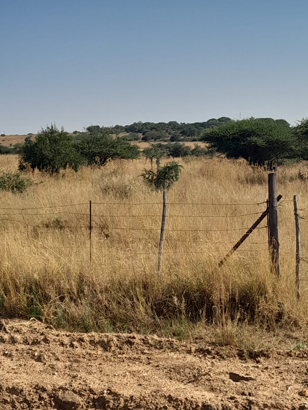 0 Bedroom Property for Sale in Polokwane Rural Limpopo