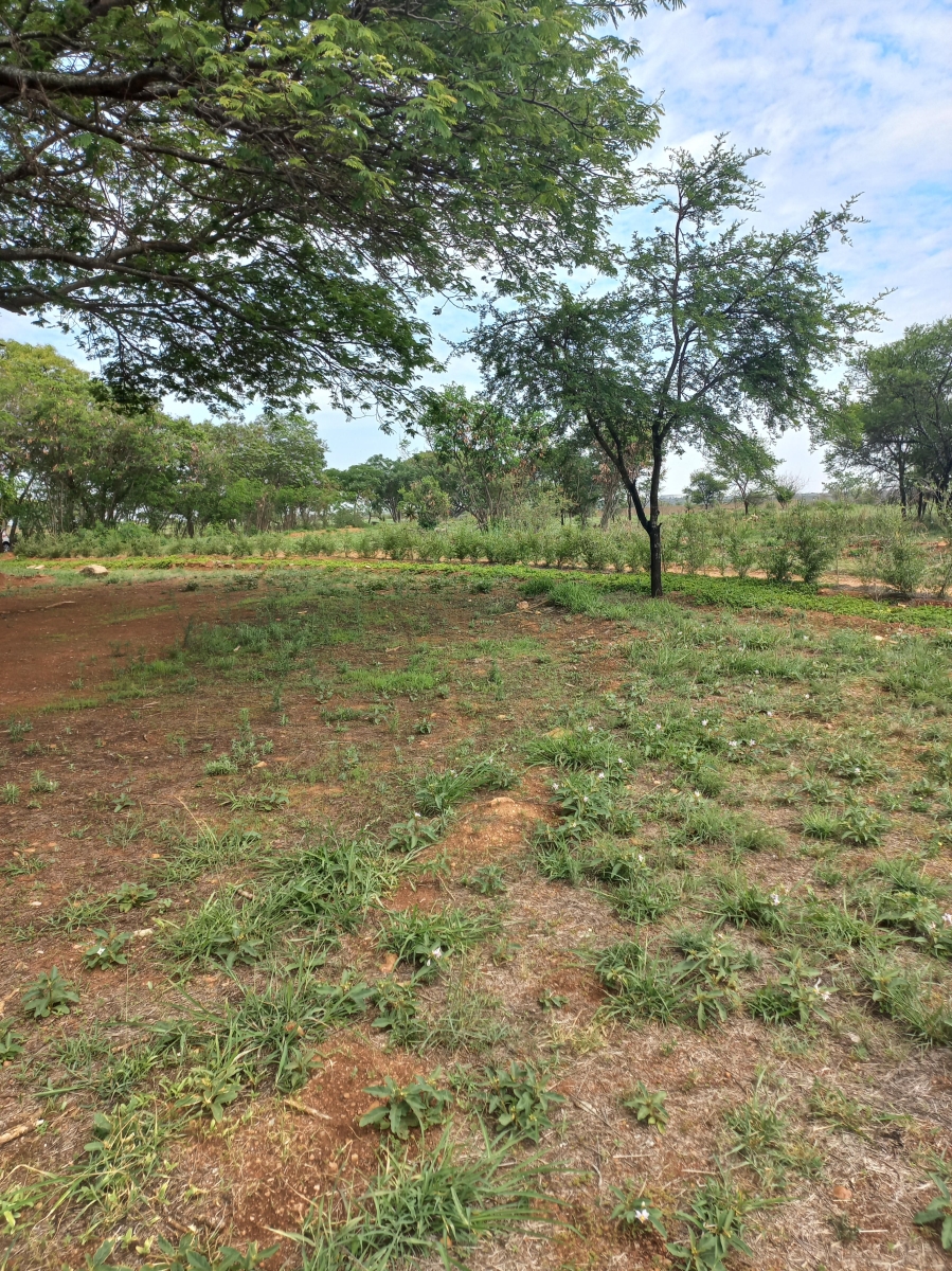 3 Bedroom Property for Sale in Sterkloop A H Limpopo