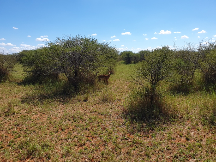 2 Bedroom Property for Sale in Roedtan Limpopo