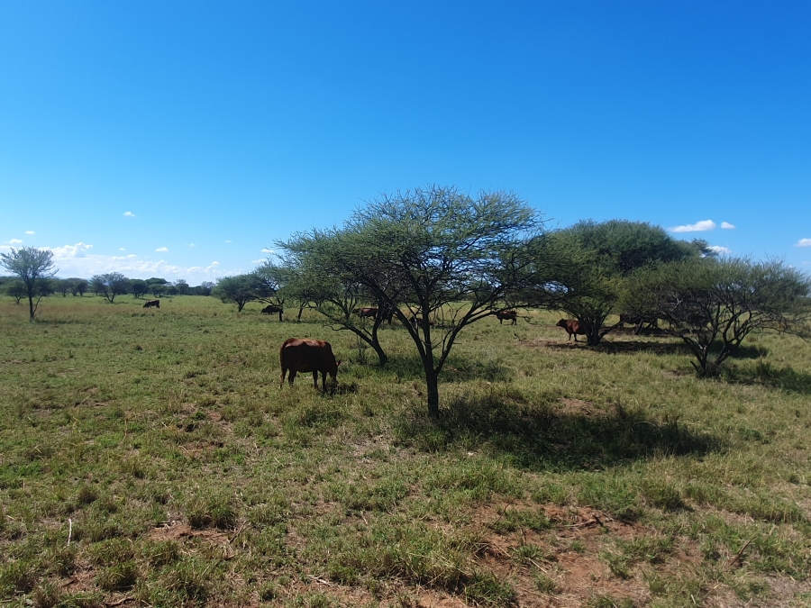 2 Bedroom Property for Sale in Roedtan Limpopo