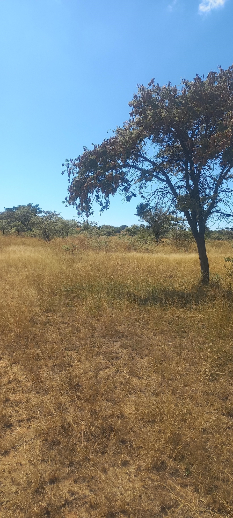 0 Bedroom Property for Sale in Leeukuil AH Limpopo