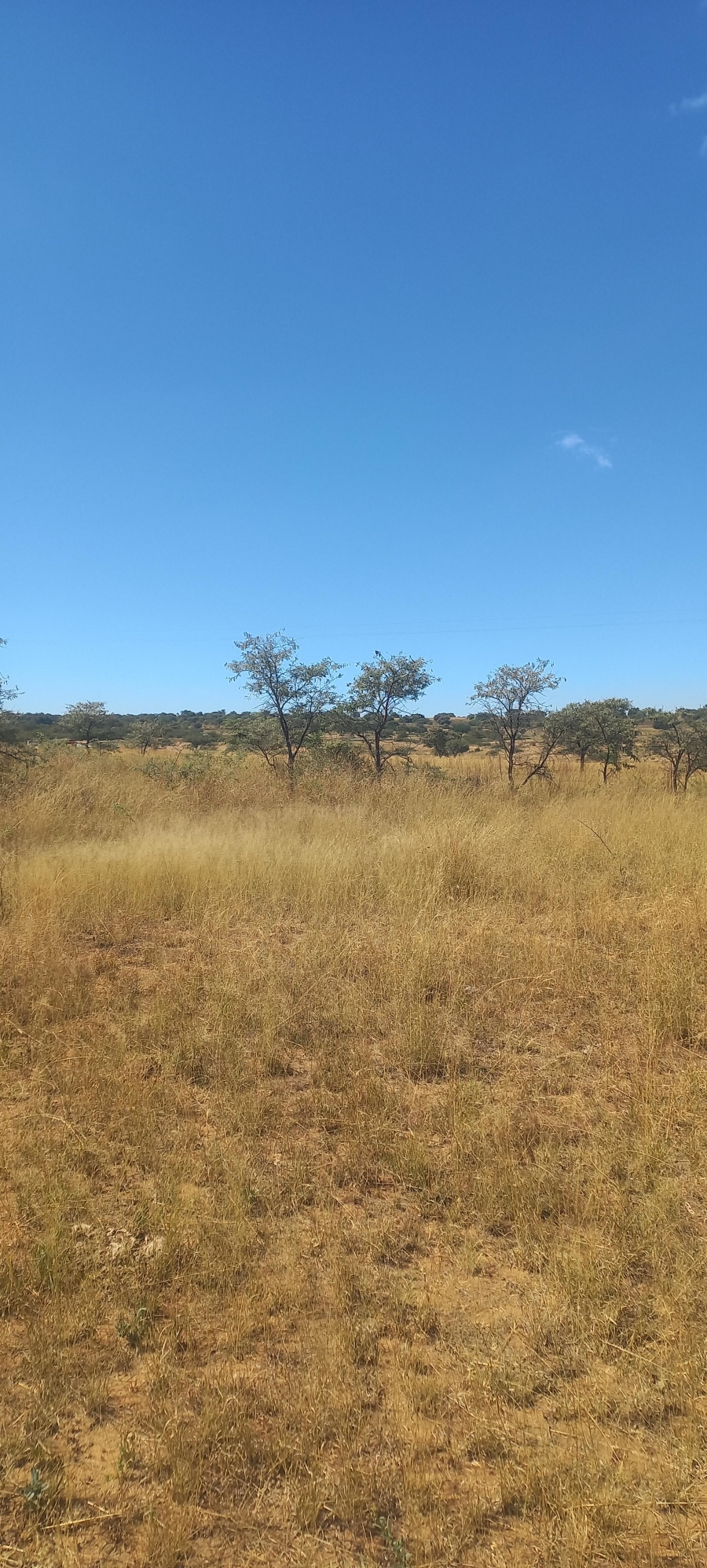 0 Bedroom Property for Sale in Leeukuil AH Limpopo