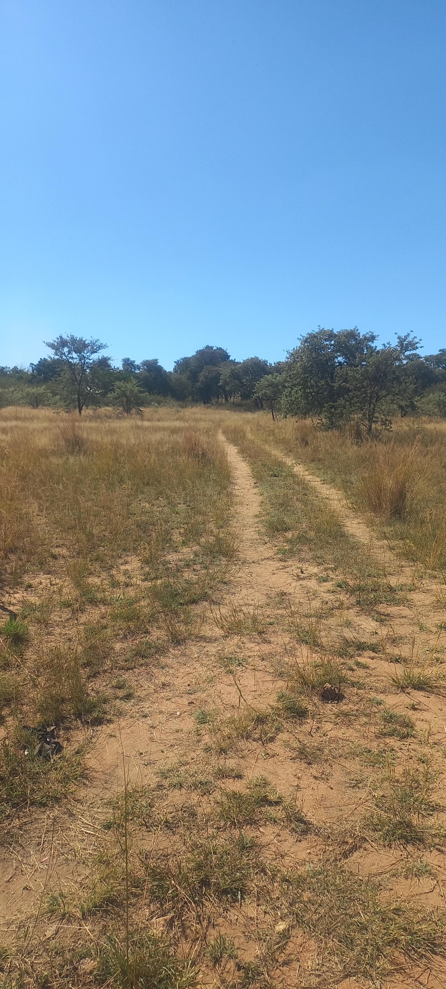 0 Bedroom Property for Sale in Leeukuil AH Limpopo