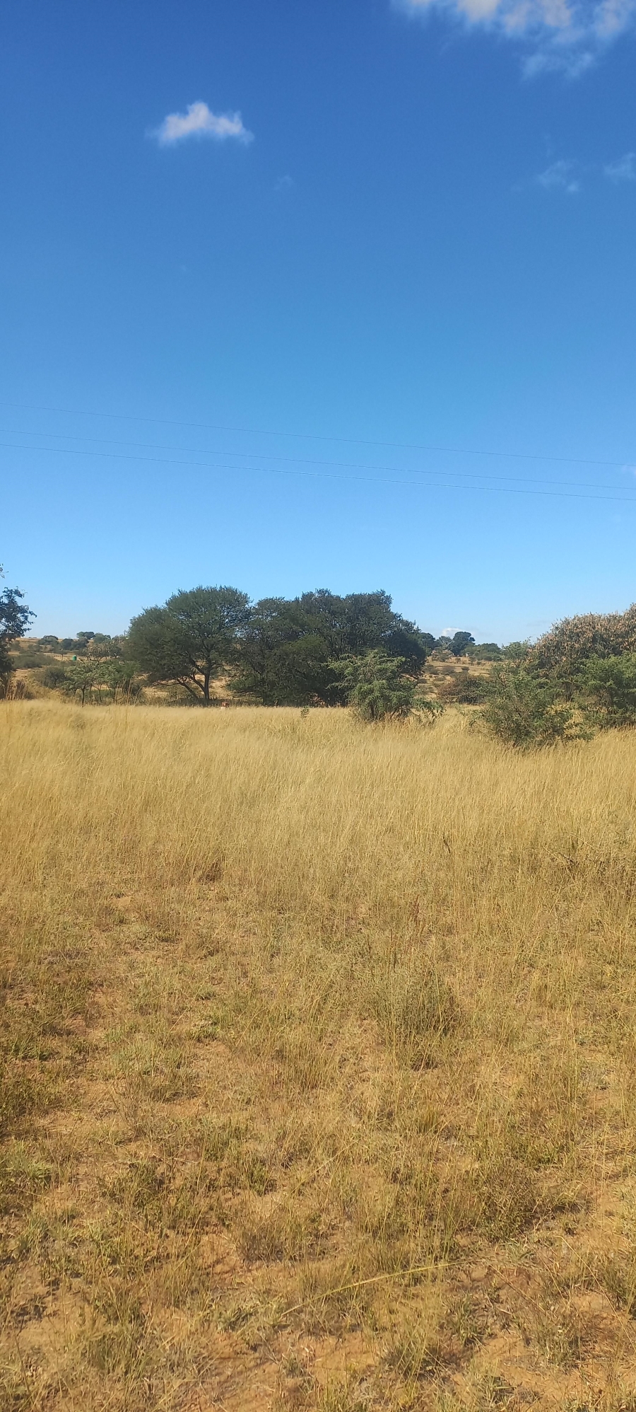 0 Bedroom Property for Sale in Leeukuil AH Limpopo