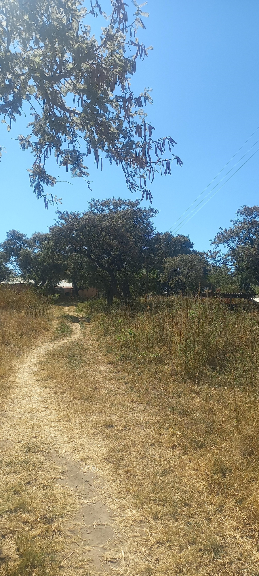 0 Bedroom Property for Sale in Leeukuil AH Limpopo