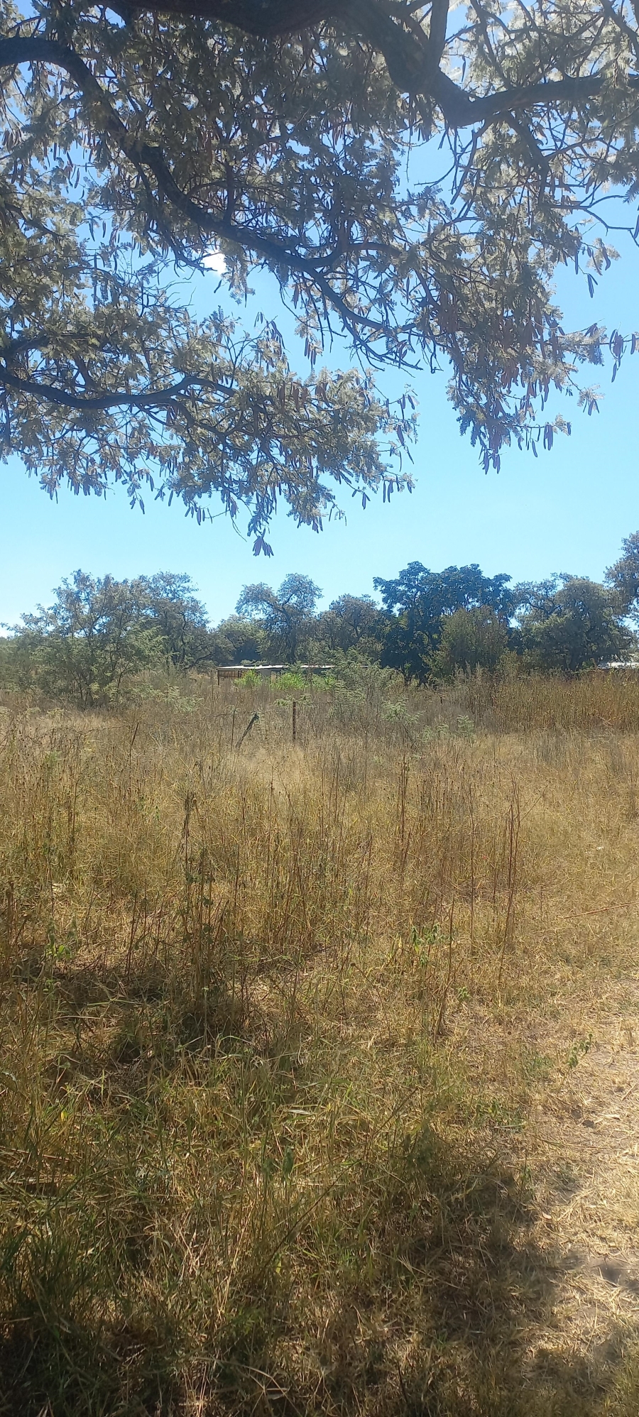 0 Bedroom Property for Sale in Leeukuil AH Limpopo