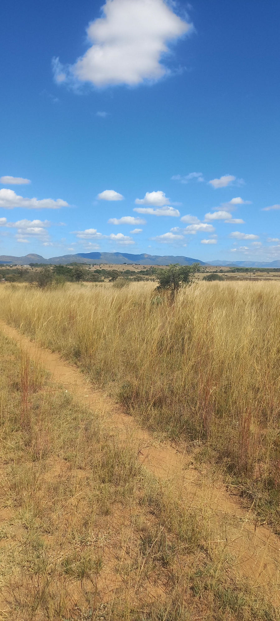 0 Bedroom Property for Sale in Leeukuil AH Limpopo