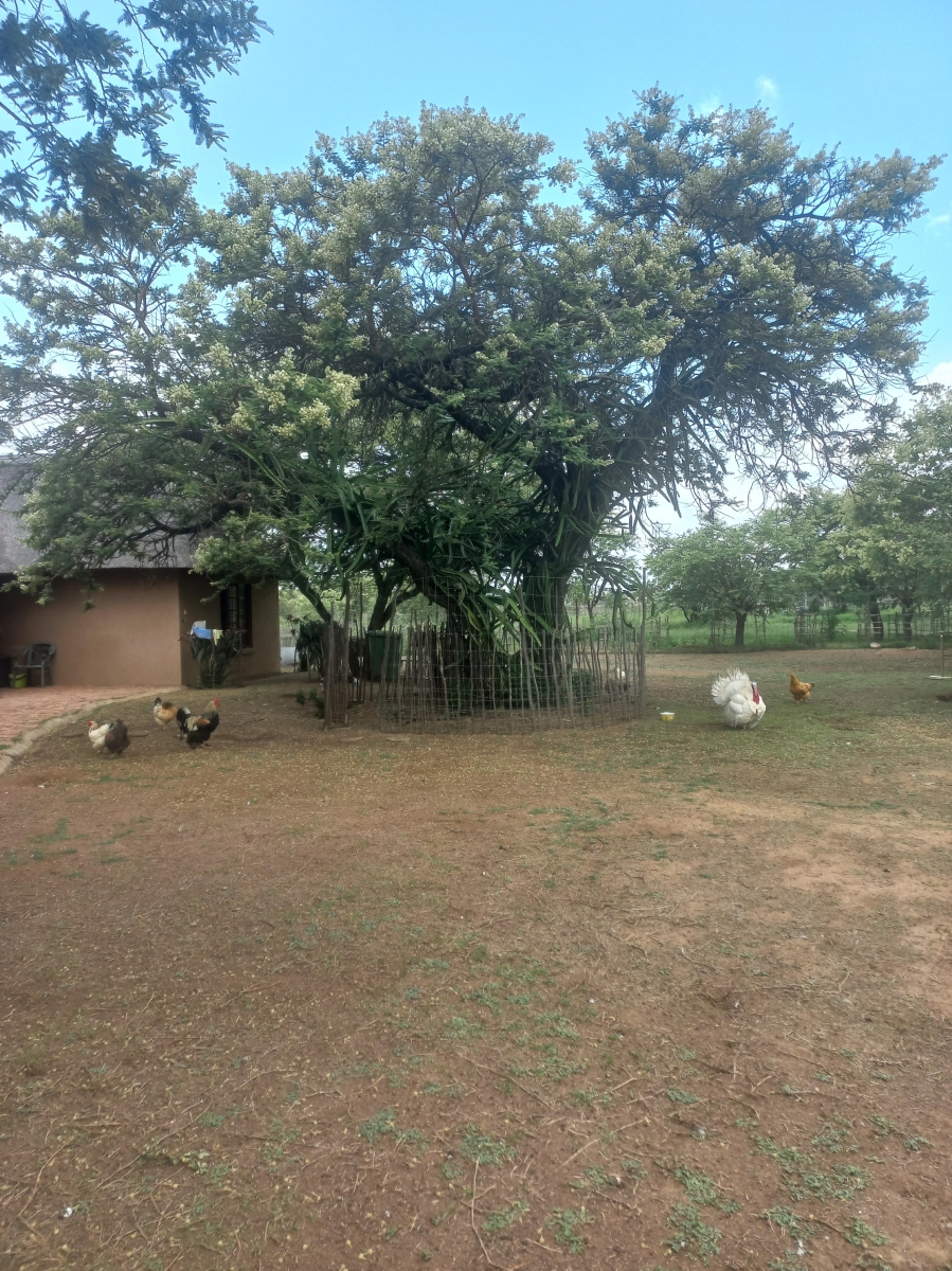 10 Bedroom Property for Sale in Myngenoegen A H Limpopo