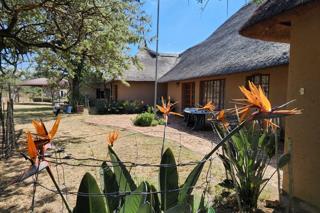 10 Bedroom Property for Sale in Myngenoegen A H Limpopo