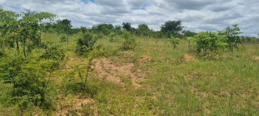 0 Bedroom Property for Sale in Makhuvha B Limpopo