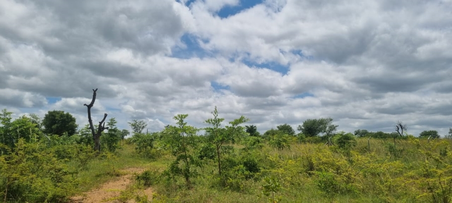 0 Bedroom Property for Sale in Makhuvha B Limpopo