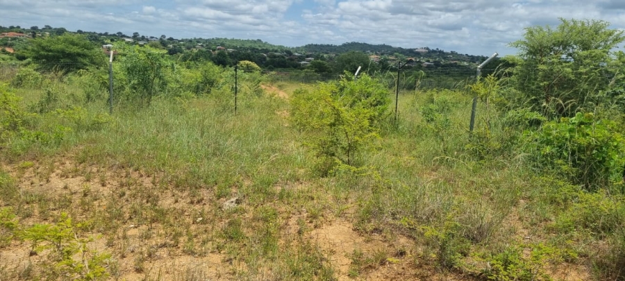 0 Bedroom Property for Sale in Makhuvha B Limpopo