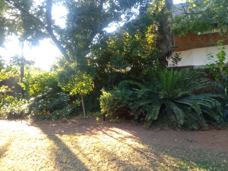 3 Bedroom Property for Sale in Bela Bela Limpopo