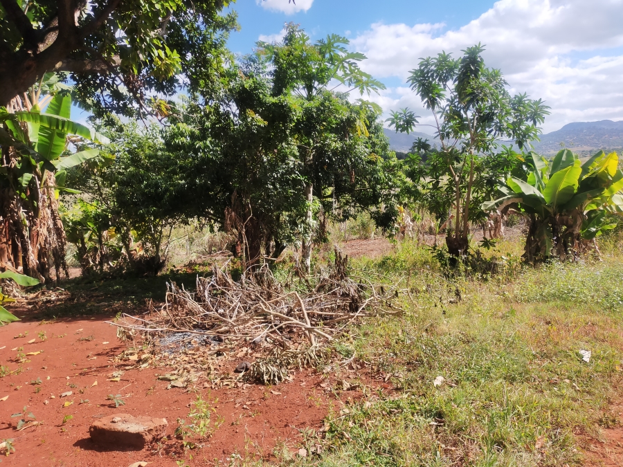 0 Bedroom Property for Sale in Maungani Limpopo