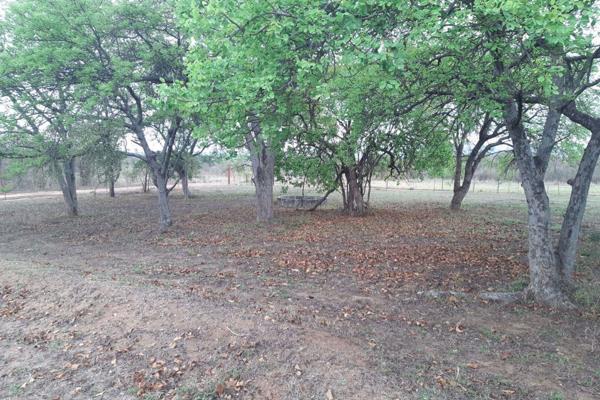 0 Bedroom Property for Sale in Letsitele Limpopo