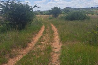 0 Bedroom Property for Sale in Polokwane Rural Limpopo