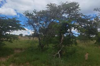 0 Bedroom Property for Sale in Polokwane Rural Limpopo