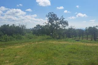 0 Bedroom Property for Sale in Polokwane Rural Limpopo