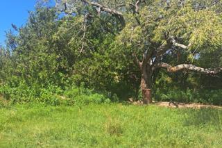 0 Bedroom Property for Sale in Polokwane Rural Limpopo