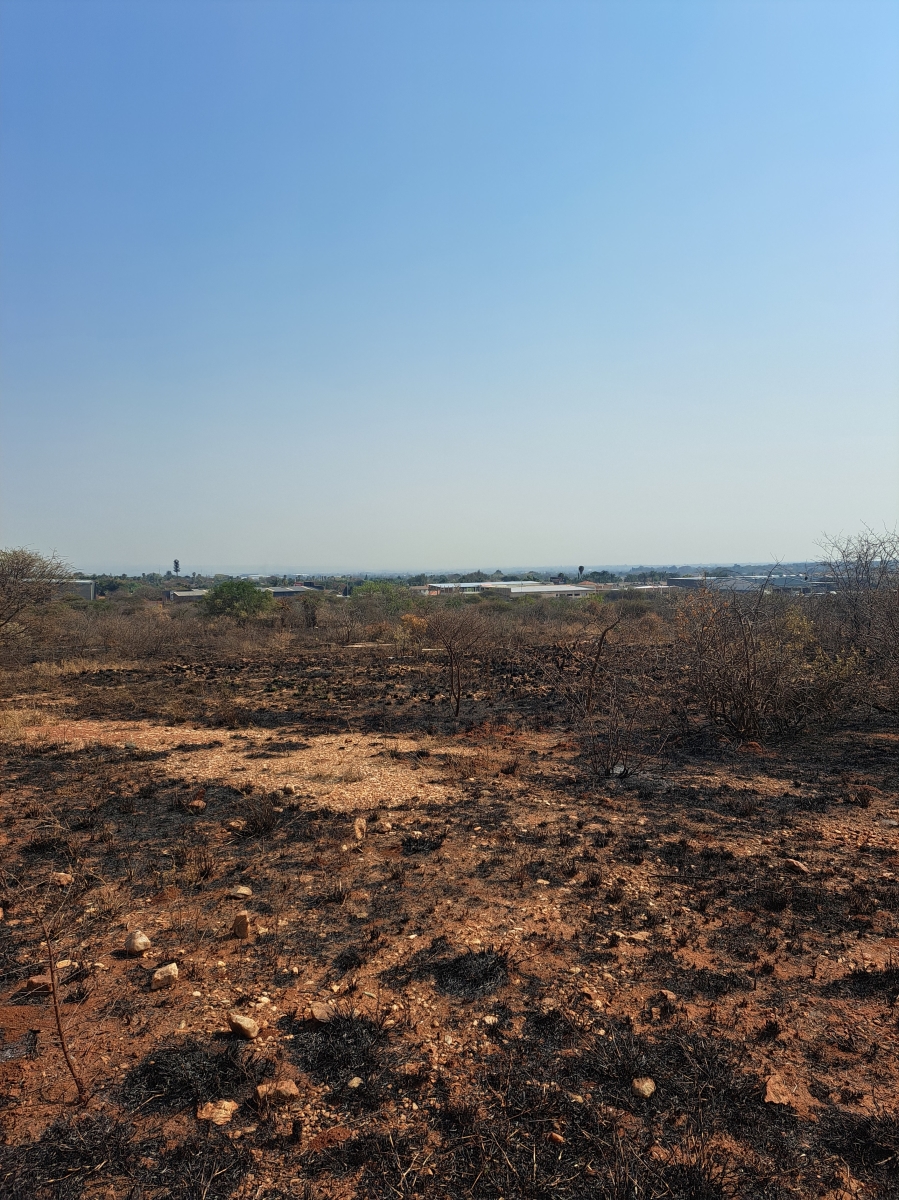 Commercial Property for Sale in Bendor Limpopo