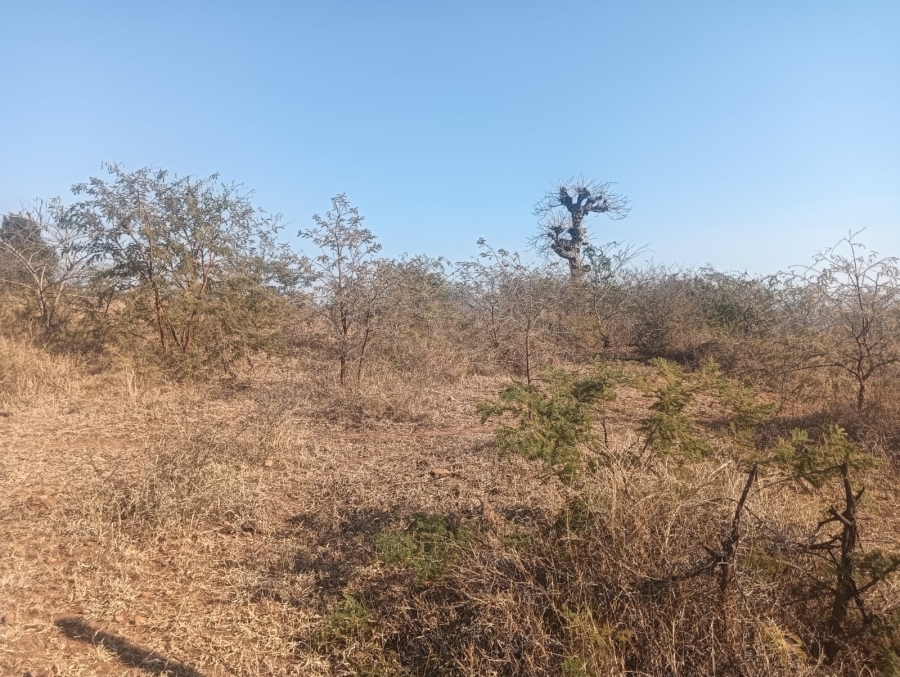 0 Bedroom Property for Sale in Dididi Limpopo