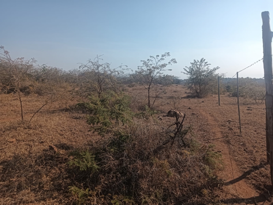 0 Bedroom Property for Sale in Dididi Limpopo