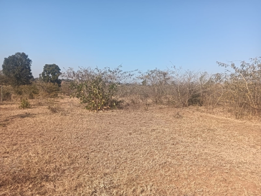 0 Bedroom Property for Sale in Dididi Limpopo