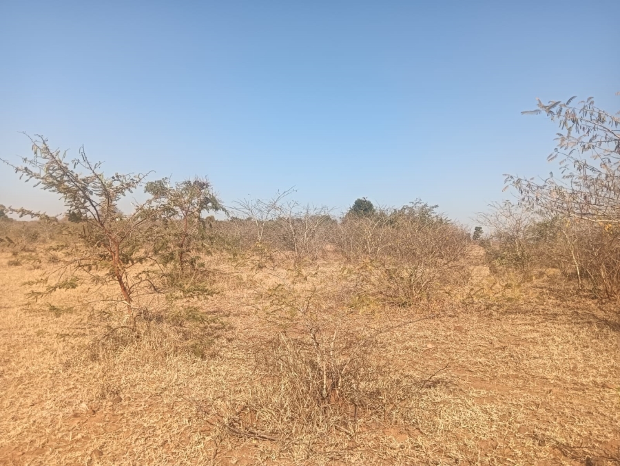 0 Bedroom Property for Sale in Dididi Limpopo