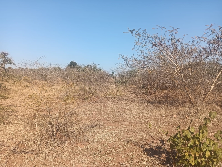 0 Bedroom Property for Sale in Dididi Limpopo