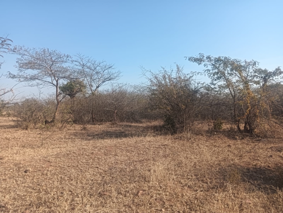 0 Bedroom Property for Sale in Dididi Limpopo