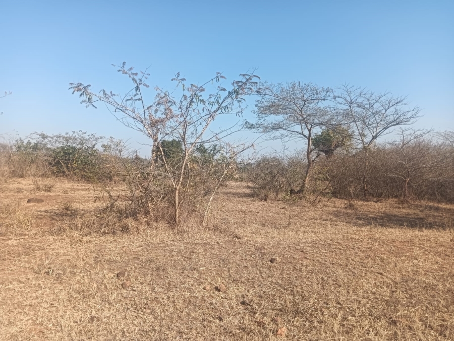 0 Bedroom Property for Sale in Dididi Limpopo