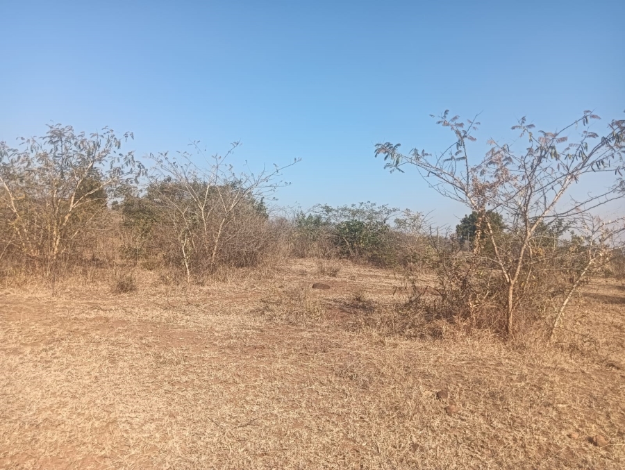 0 Bedroom Property for Sale in Dididi Limpopo