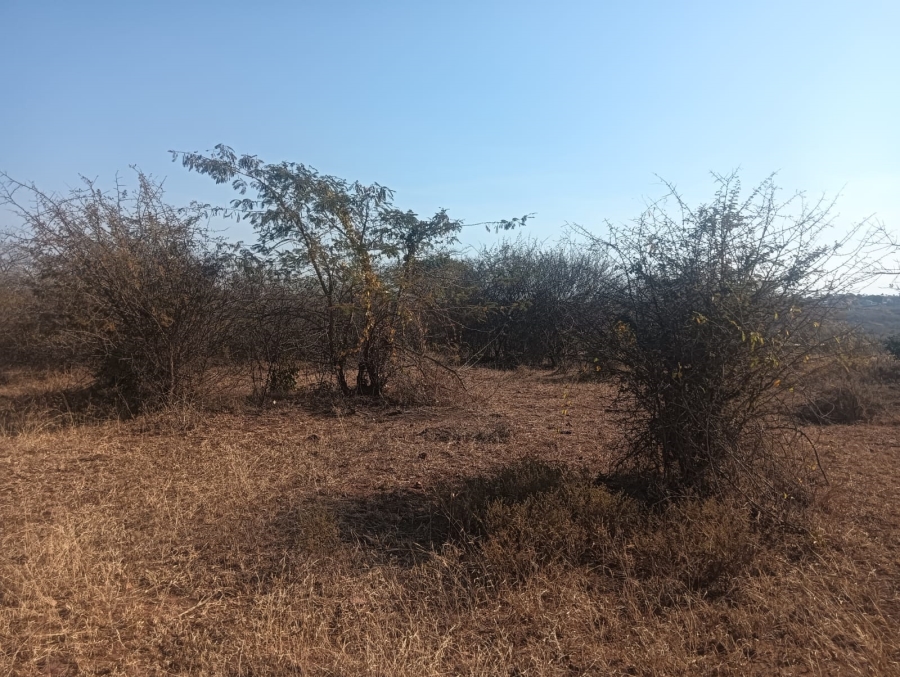 0 Bedroom Property for Sale in Dididi Limpopo