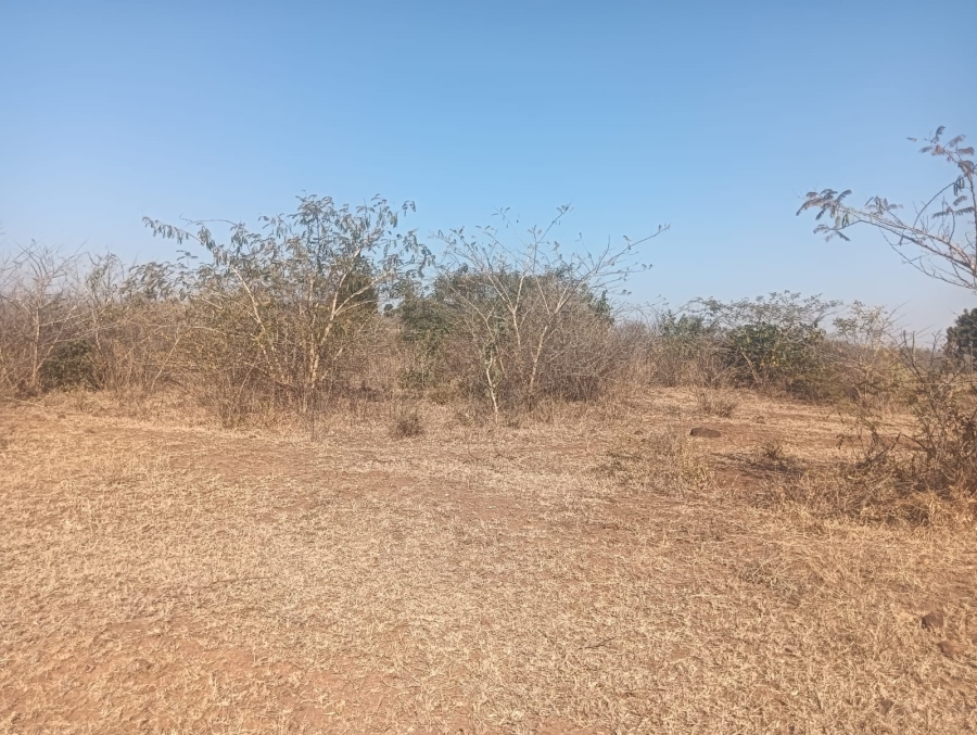 0 Bedroom Property for Sale in Dididi Limpopo