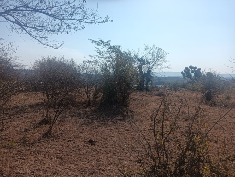 0 Bedroom Property for Sale in Dididi Limpopo