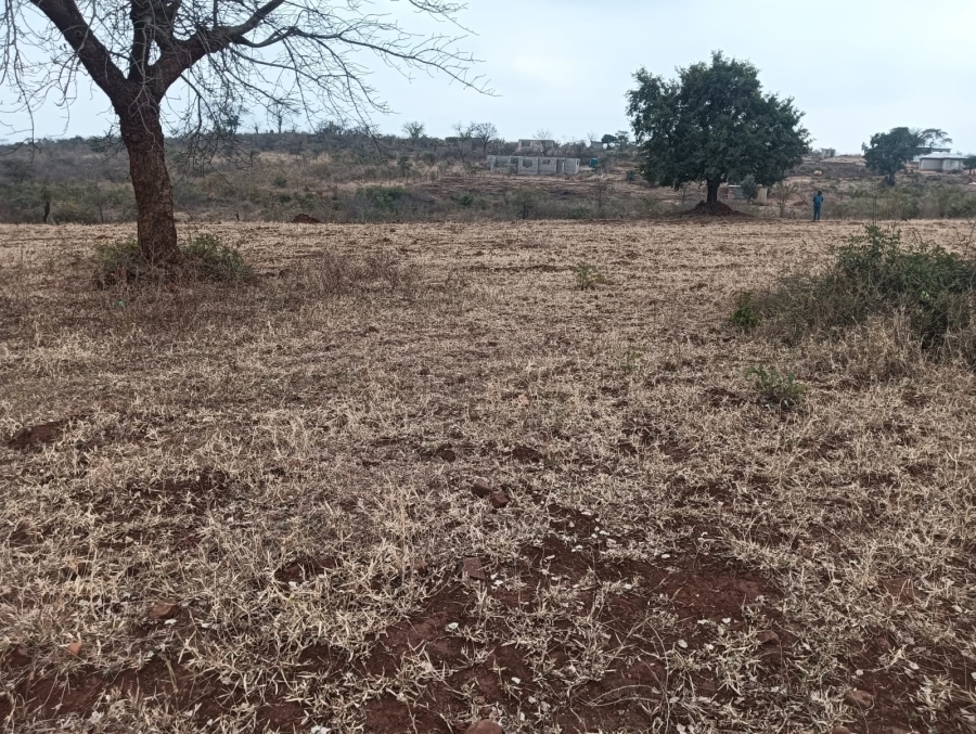 0 Bedroom Property for Sale in Dididi Limpopo