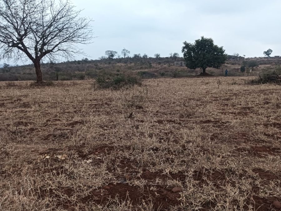 0 Bedroom Property for Sale in Dididi Limpopo