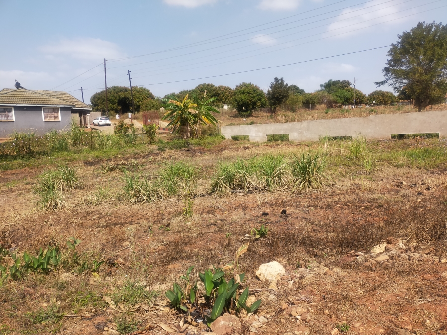 0 Bedroom Property for Sale in Shayandima Limpopo