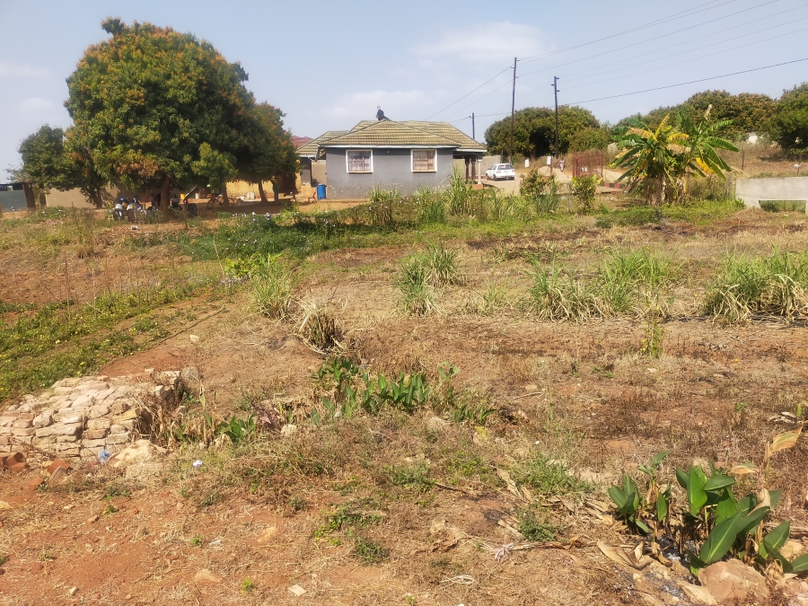 0 Bedroom Property for Sale in Shayandima Limpopo