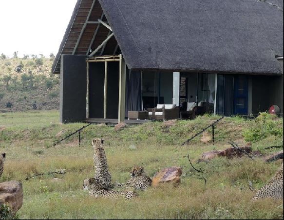 10 Bedroom Property for Sale in Welgevonden Game Reserve Limpopo