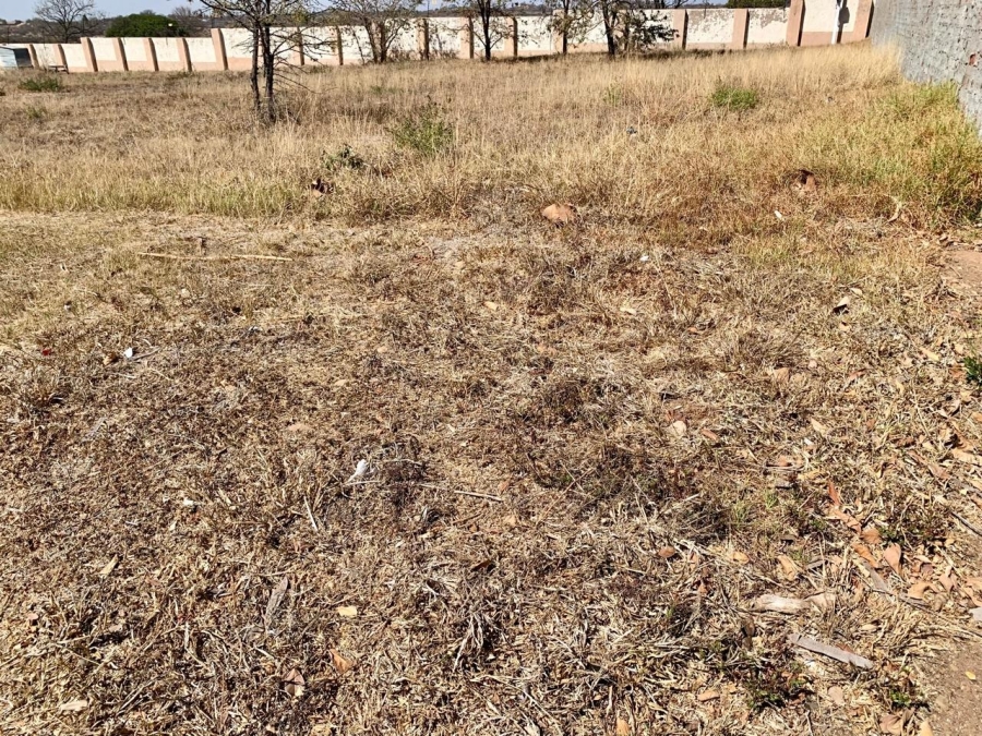 0 Bedroom Property for Sale in Bendor Limpopo