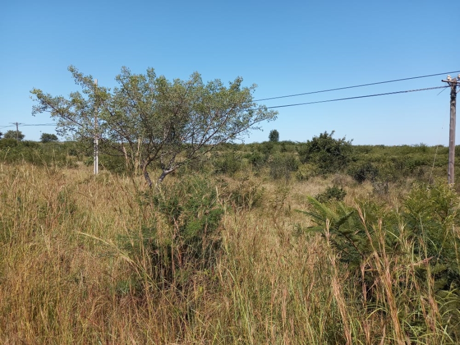 0 Bedroom Property for Sale in Tswinga Limpopo